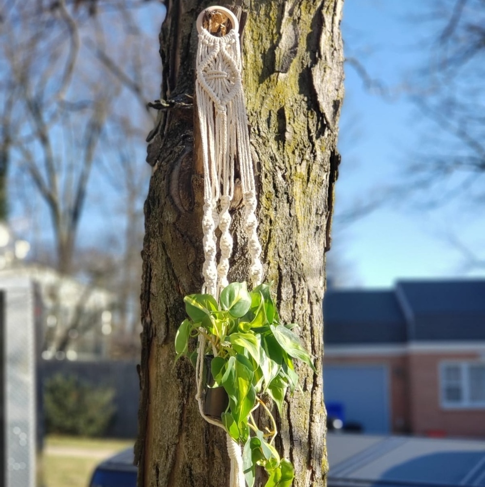 Handmade Macrame Hanger with Knot - Picture 2 of 3